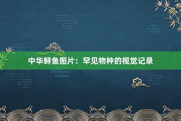 中华鲟鱼图片：罕见物种的视觉记录